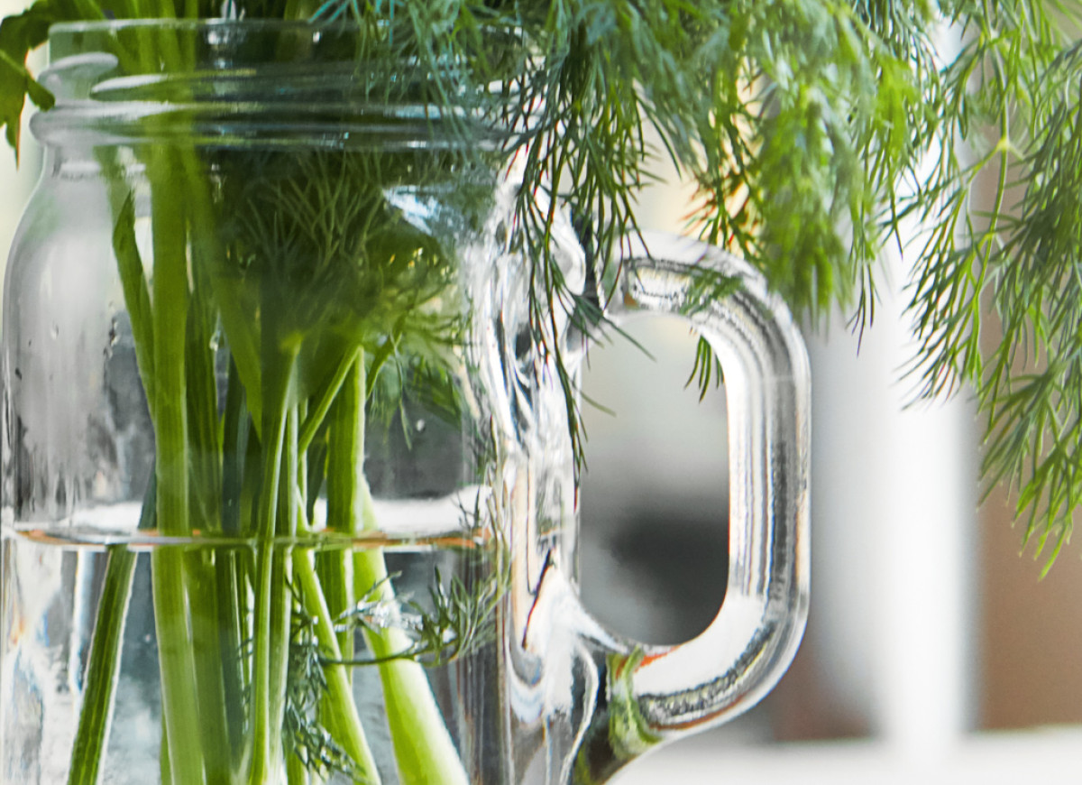 Kiszone łodyżki koperku