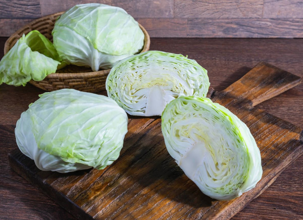 młoda kapusta
