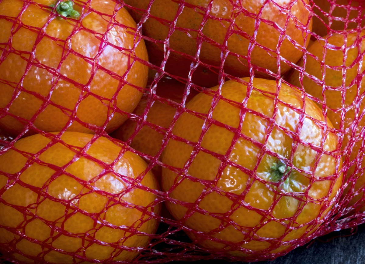 cytrusy w siatkach