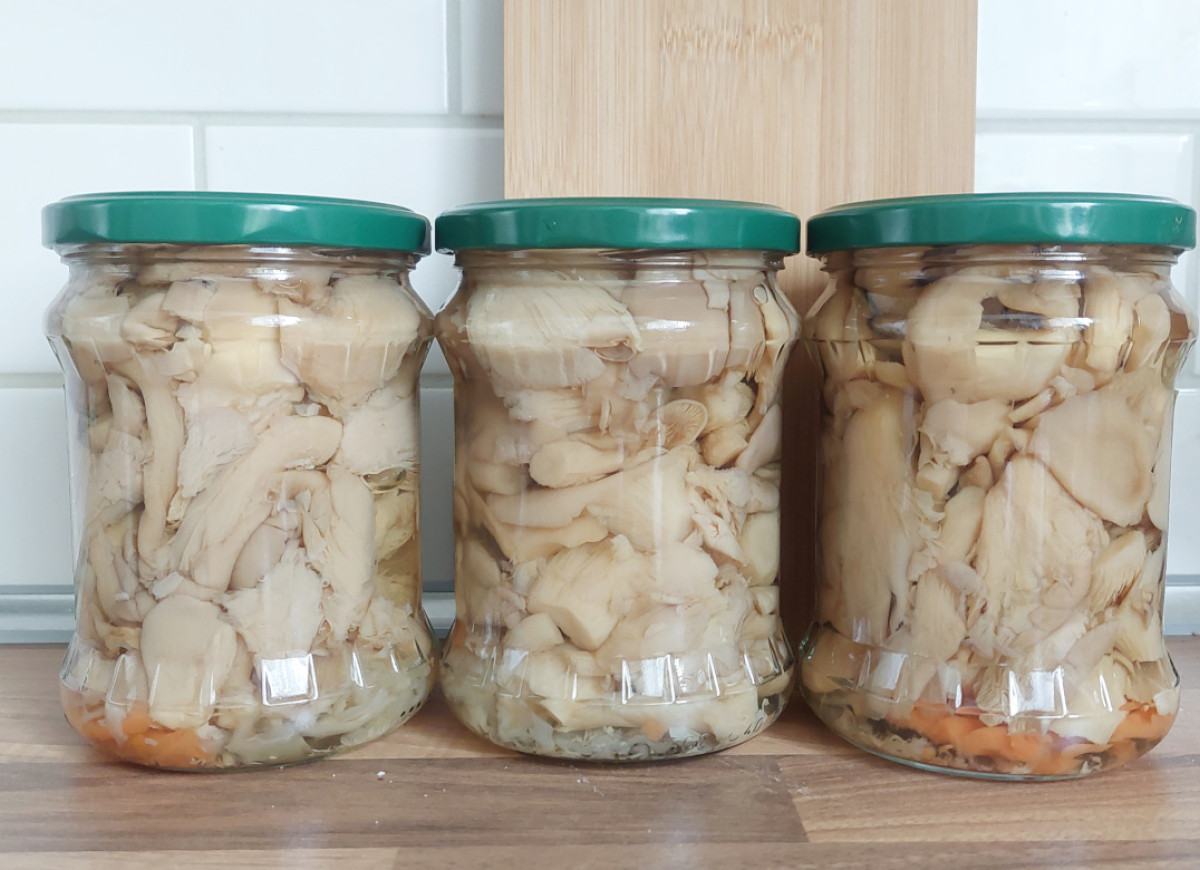 marynowane boczniaki