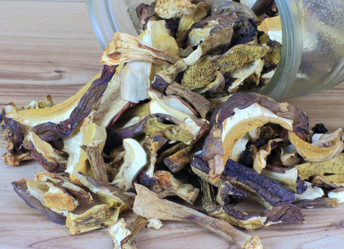 suszone grzyby