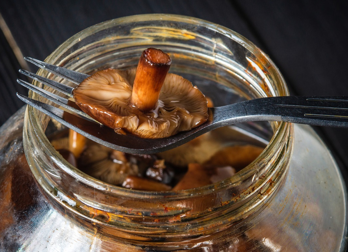 opieńki do słoików