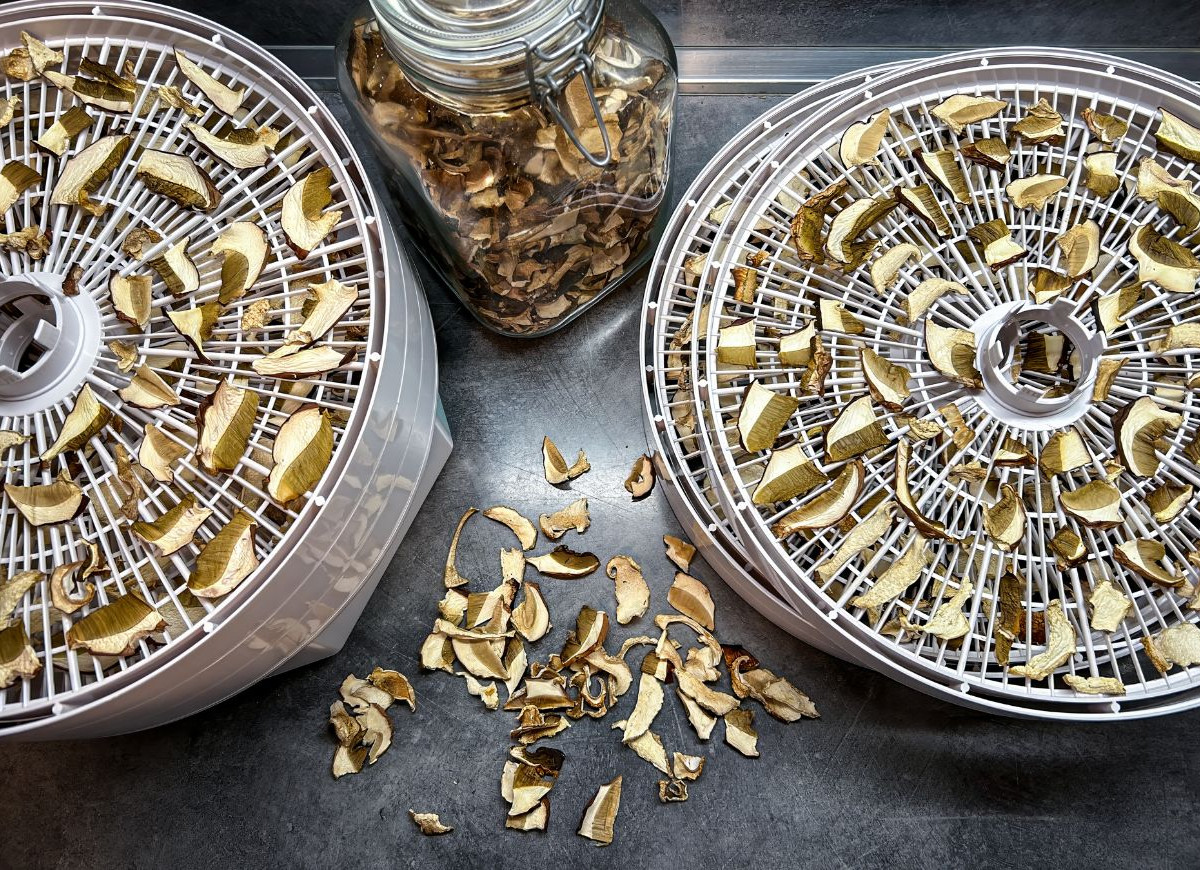 Suszarka do grzybów