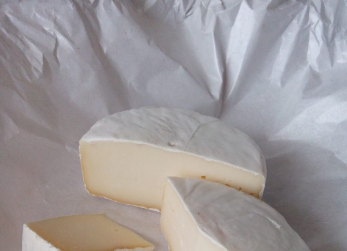 Domowy ser pleśniowy camembert - prosty przepis