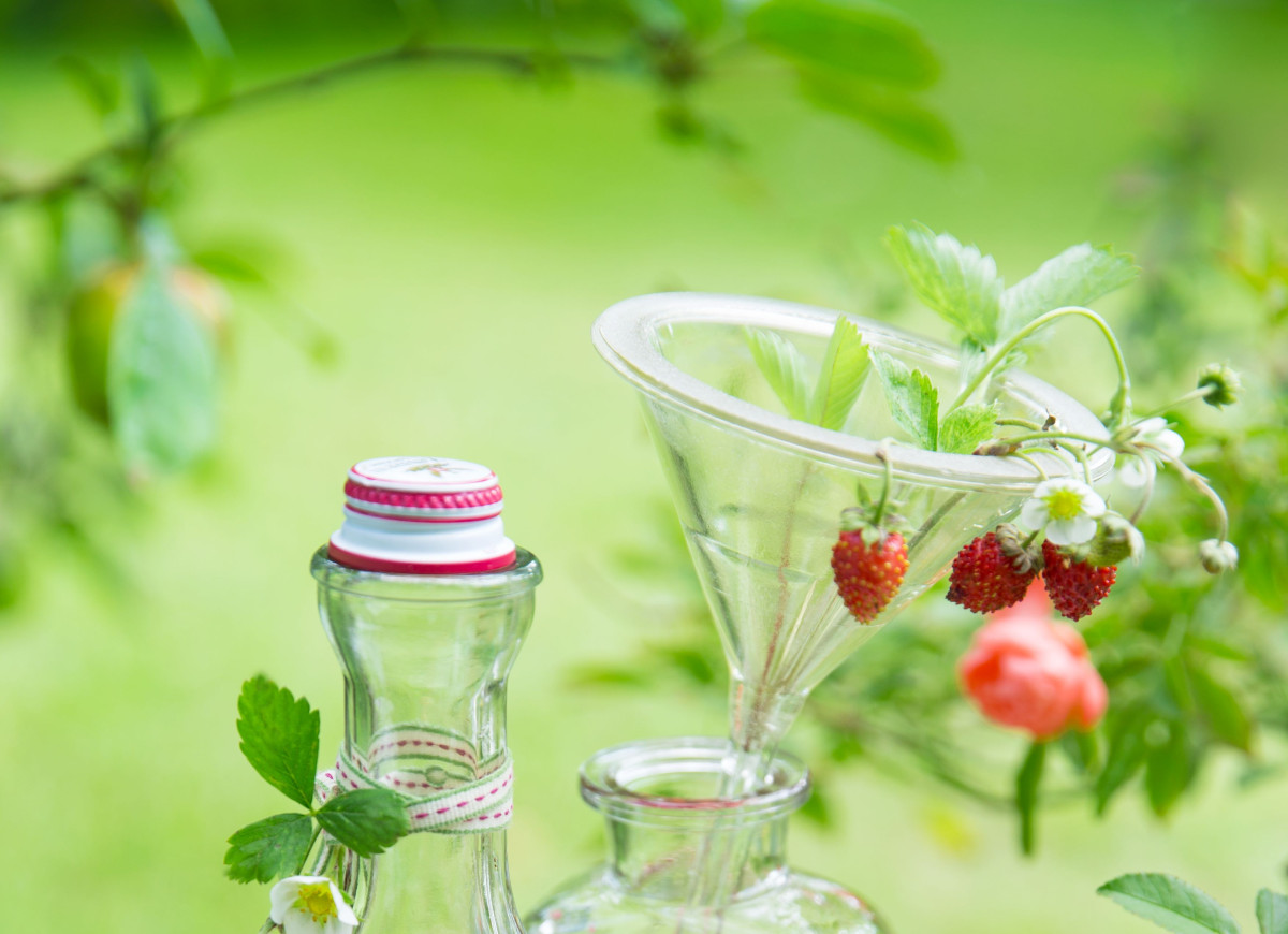 Nalewka na poziomkach