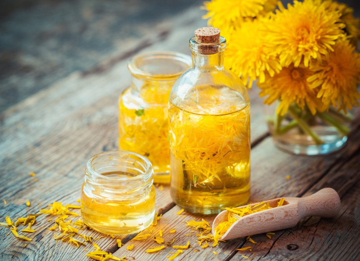 Nalewka z mniszka lekarskiego