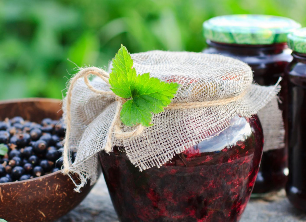 Dżem z czarnej porzeczki