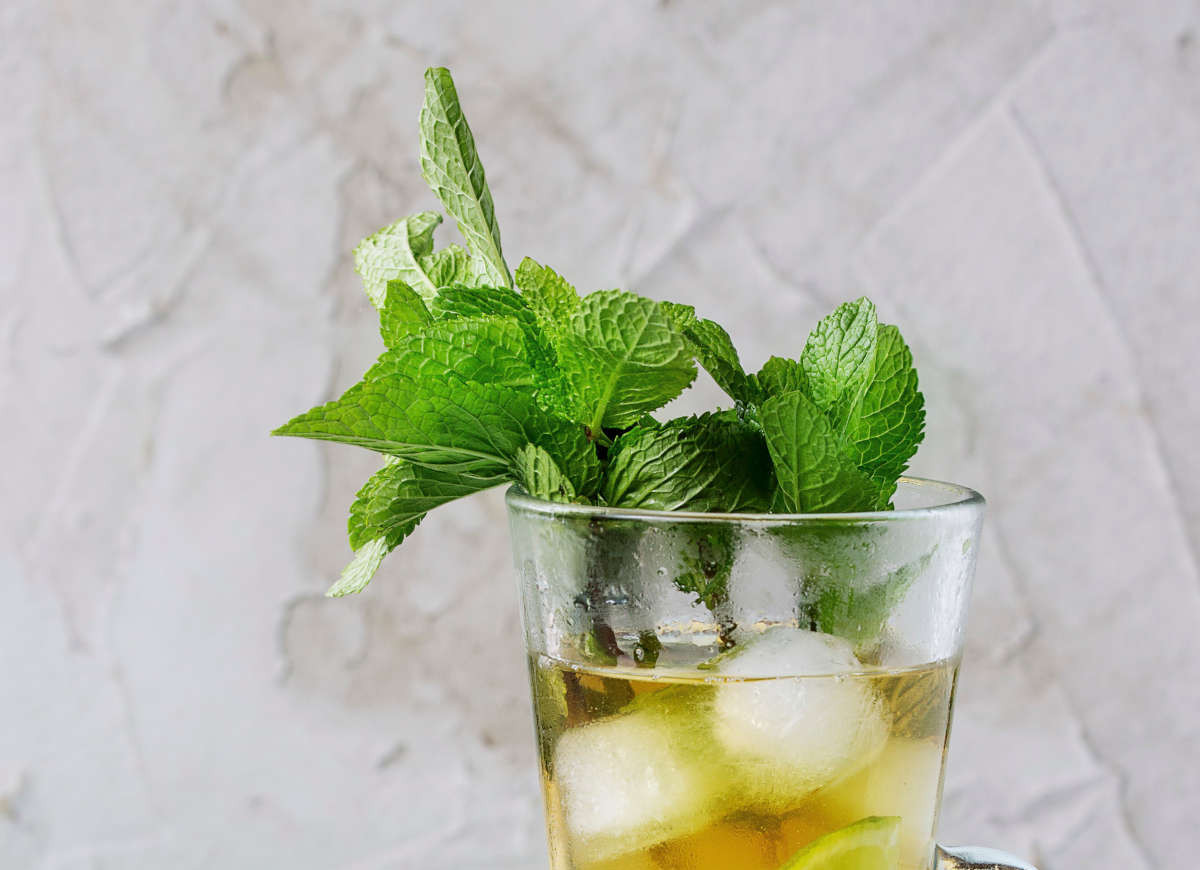 Mrożona zielona herbata