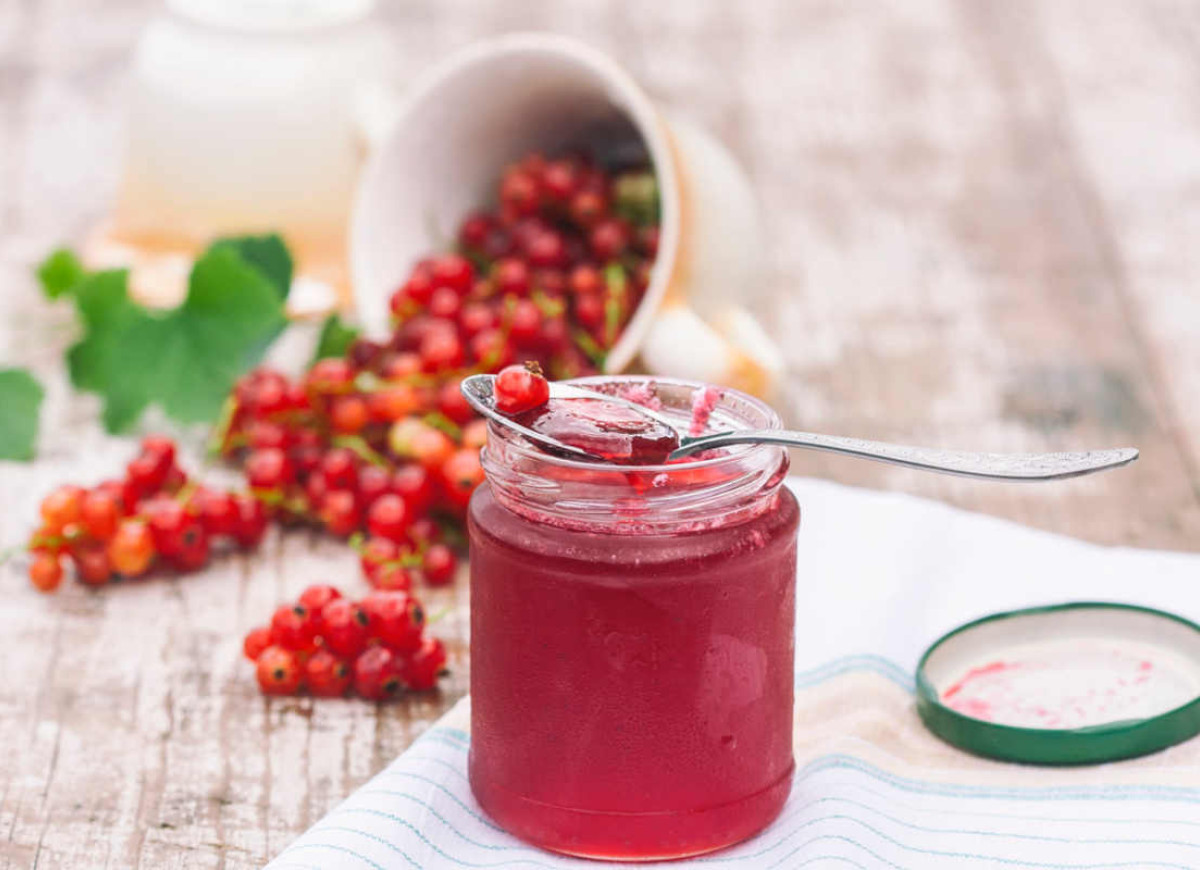 Galaretka z czerwonej porzeczki