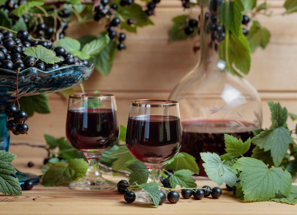 Crème de cassis – likier z czarnej porzeczki