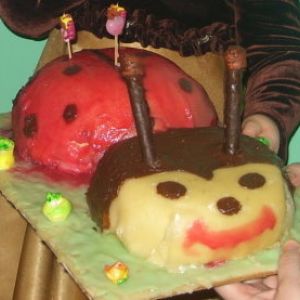 Wyśmienity tort biedronka