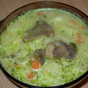 Zupa warzywno - grzybowa