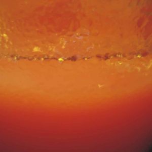 Campari z sokiem pomarańczowym