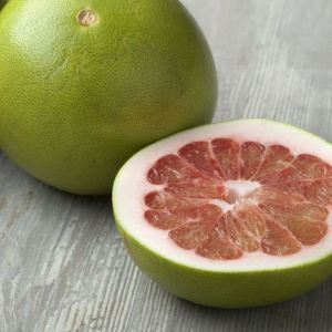 pomelo