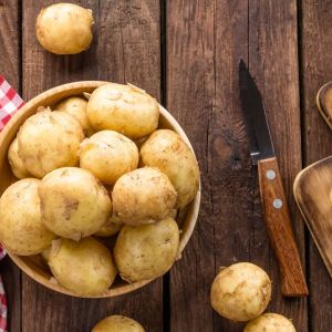 Młode ziemniaki a wczesne ziemniaki