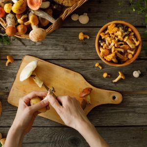 Grzybobranie na medal – jak przygotować grzyby jadalne?