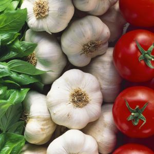 StockFood_00146206_HiRes_Basil_garlic_and_tomatoes_Italian_colours