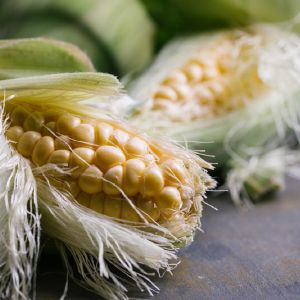 wasy-kukurydzy
