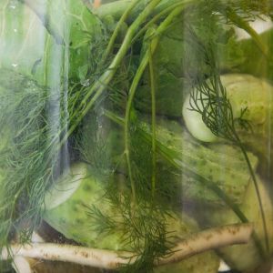 ogórki małosolne błąd