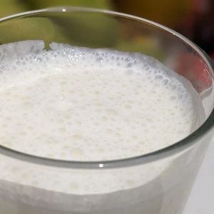kefir