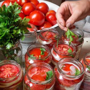 pomidory do słoików