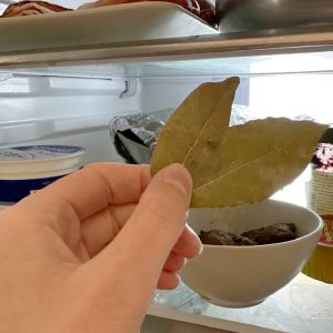 liście laurowe w lodówce
