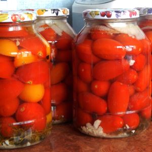 pomidory po bułgarsku