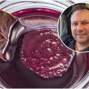 zakwas buraczany Tomasza Stzrelczyka