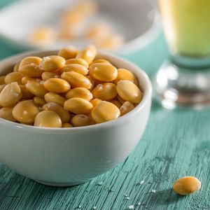 jadalne nasiona łubinu