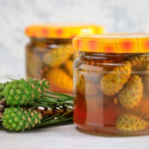 syrop z szyszek sosny