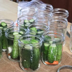 ogórki w słoikach