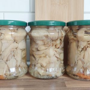 marynowane boczniaki