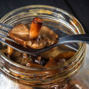 opieńki do słoików