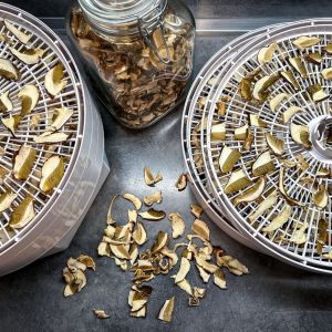 Suszarka do grzybów