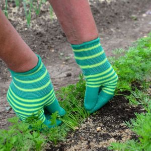 nawóz marcowy do siewek