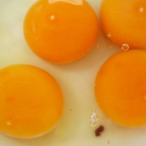 jajka z czerwoną plamką