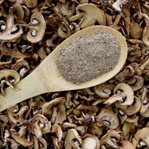przyprawa puder z grzybów