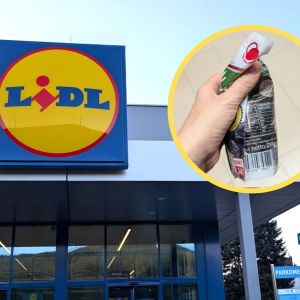 śliwka sechlońska - Lidl