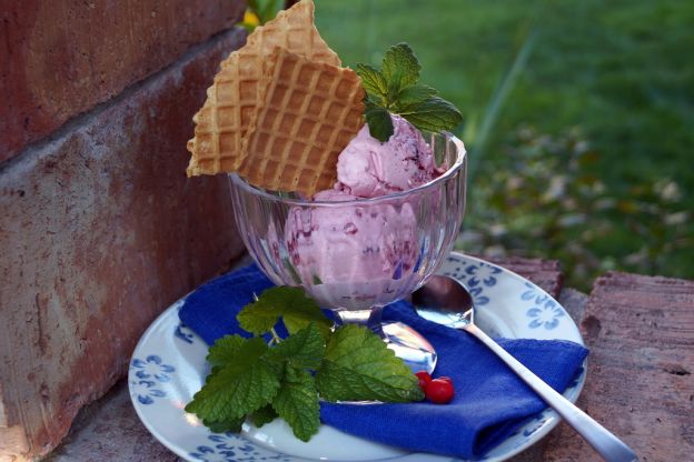 Przepis: Domowe lody żurawinowe