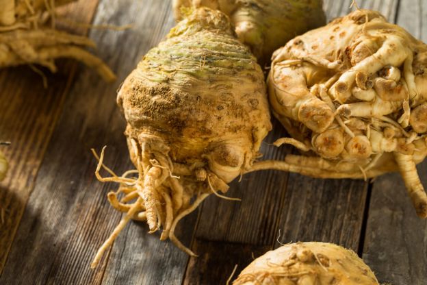 seler-korzen-fot.iStock (1)