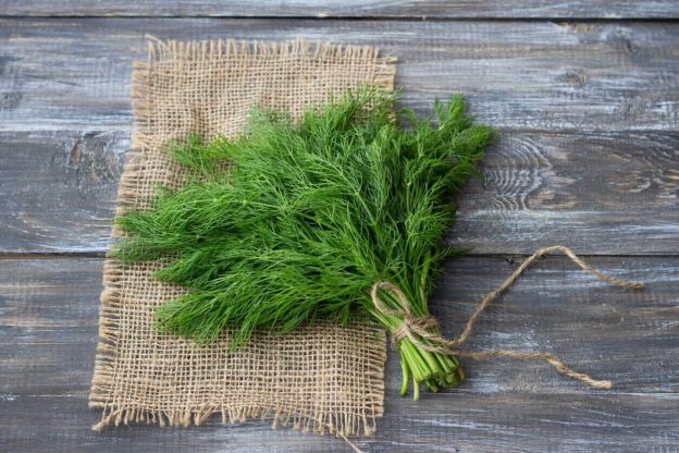 koperek-fot.iStock-kroki-przepis