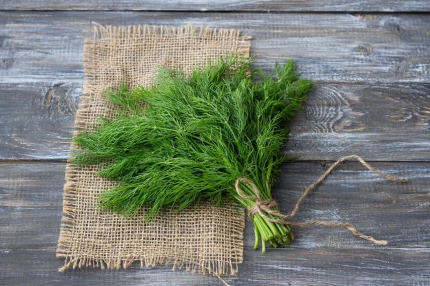 koperek-fot.iStock-min (1)