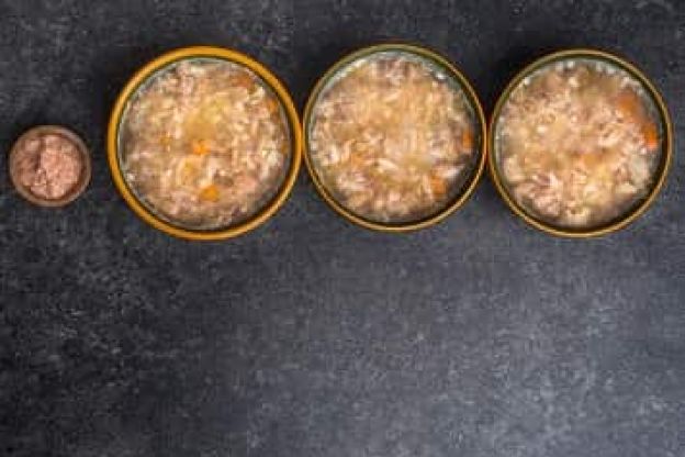 iStock-1178917542-min