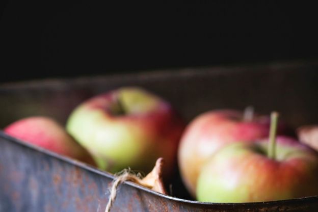 StockFood-jablka-min (1)