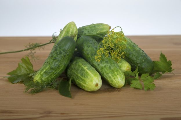 ogórki i koper