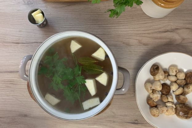 zupa borowikowa - wywar