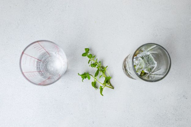 mojito bezalkoholer i gazowana woda