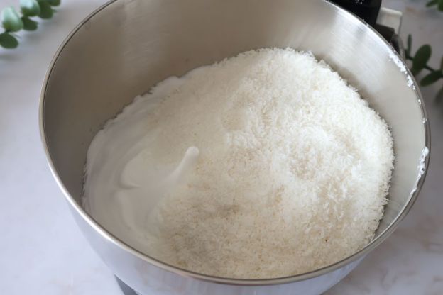 kokosanki - ubite biała z wiórkami kokosowymi