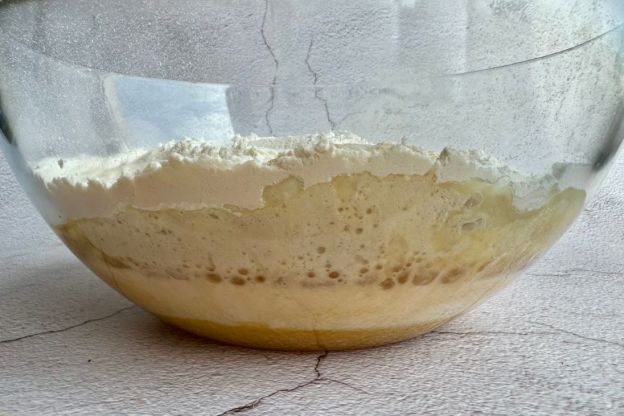 ciasto drożdżowe bez wyrabiania - warstwy składników