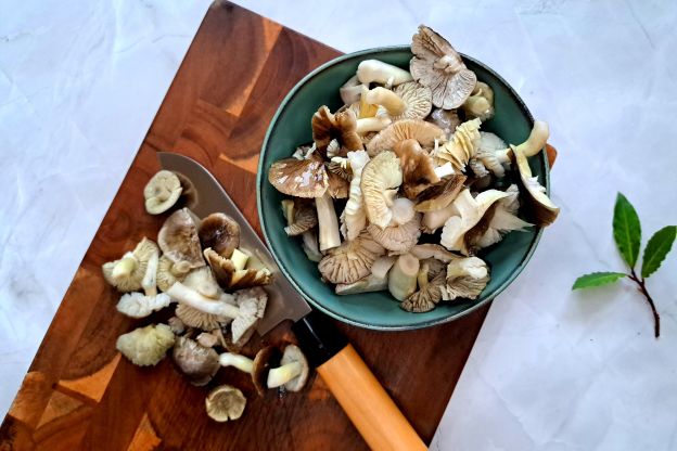 zupa z gąsek - krojenie grzybów